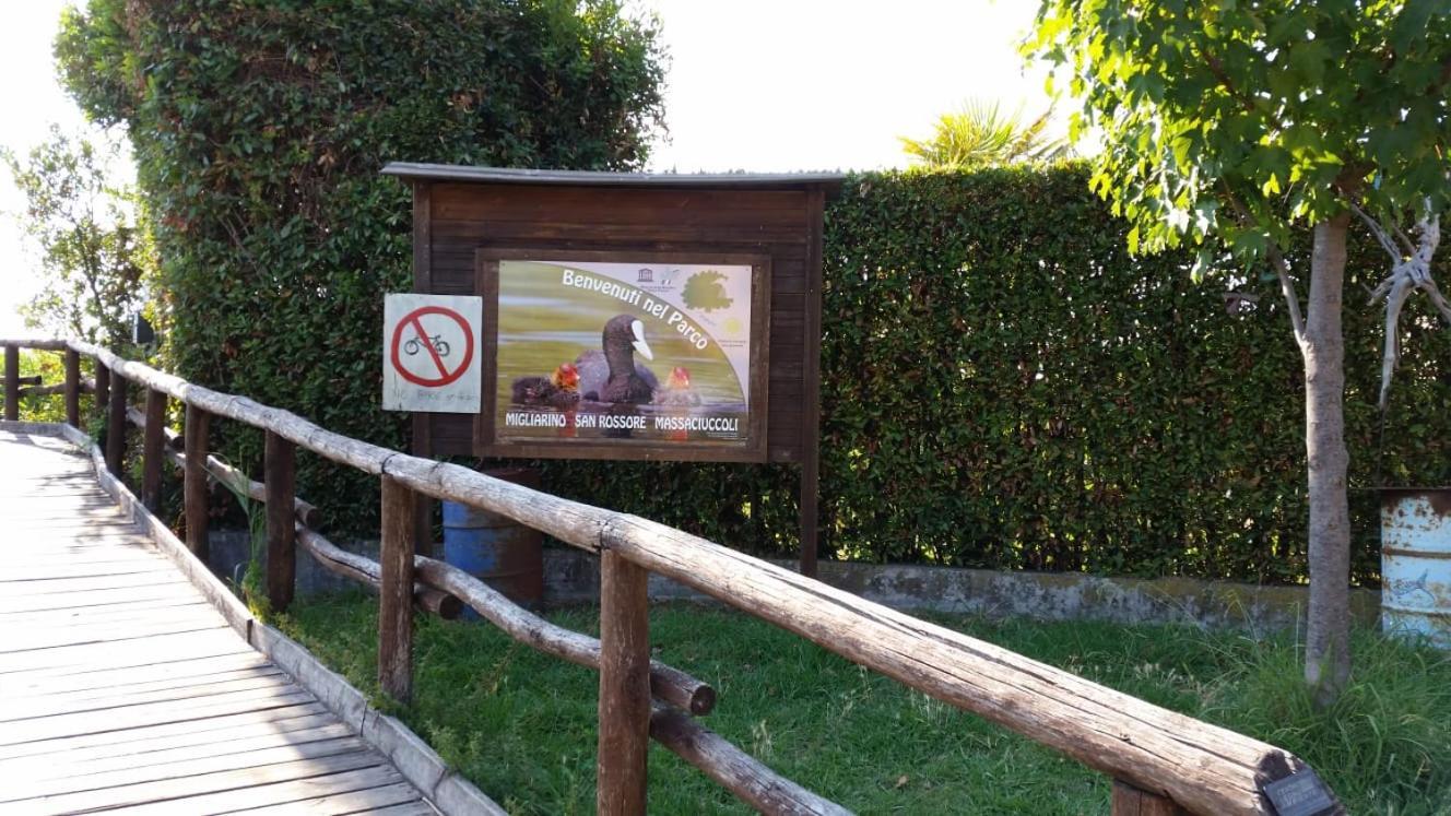Villa Twetty Massaciuccoli Luaran gambar